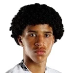 D. Agustien