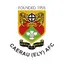 Caerau (Ely)